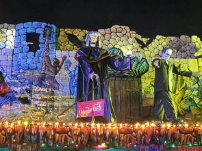 球迷狂欢夜：欧洲联赛粉丝的激情盛宴，欧洲球迷文化